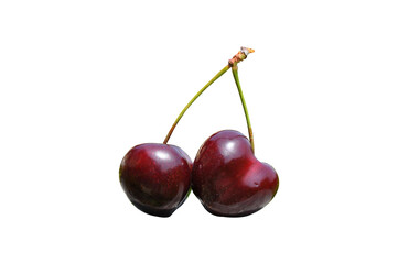 cherries on white background