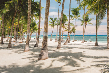 Bohol - Philippines