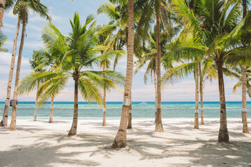 Obraz premium Bohol - Philippines