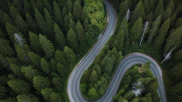 Aerial view of a winding road through a lush green forest, showcasing the beauty of nature and exploration