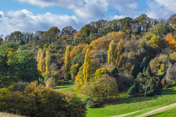 A vibrant hillside of emerald grass and fiery foliage below Llandegfedd's dam embankment near Pontypool, Torfaen, South Wales