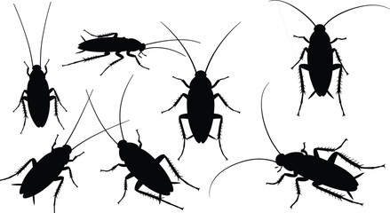 Silhouette of cockroaches in various positions, insect collection, pest control concept, creepy crawlers, black bug shapes, detailed vector illustration © MstMuktarinaAkter