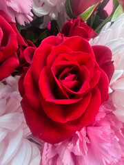 Bouquet of different beautiful flowers
