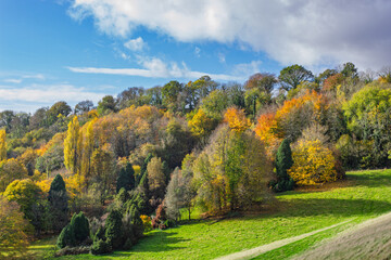 The natural autumnal palette of a mixed woodland on the lower slopes below Llandegfedd Reservoir near Pontypool, Torfaen, South Wales