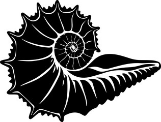 A conch shell, showcasing its spiraled, pointed shape and characteristic spines or protrusions along its edge silhouette