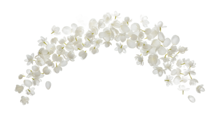 A beautiful arch made of delicate floating white jasmine flowers and petals in a graceful arrangement isolated on a pure white background