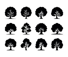 Majestic oak tree silhouette with detailed branches and leaves