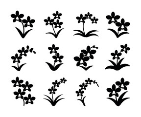 Elegant orchid flower illustration with vibrant