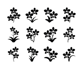 Elegant orchid flower illustration in vibrant