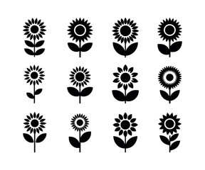 Vibrant sunflower illustration with botanical details