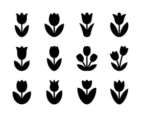 A vibrant vector illustration of a set tulip flower