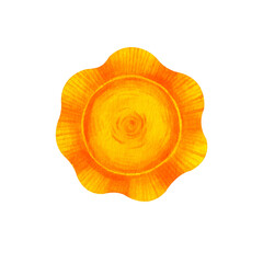 Yellow and orange sun. Colorful illustration on the white background. Watercolor illustration made by hand in a simply childish style for children's dishes, toy, clothes, book, landscape. Art 