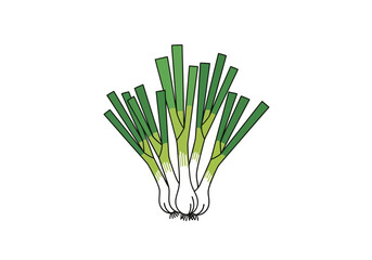 A bunch of green onions with white bulbs and dark green stalks with a black outline