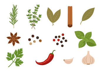 A collection of herbs and spices including rosemary thyme bay leaves cinnamon star anise pepper basil parsley chili garlic