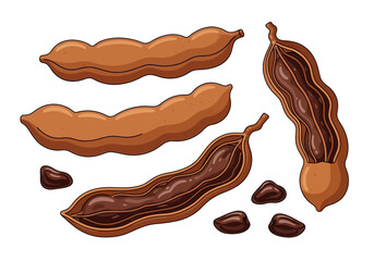 A tamarind pod illustration shows whole  opened pods plus scattered seeds on a white background