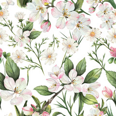 Watercolor seamless pattern with white and pink flowers, daisy, green leaves and delicate spring branches. Hand drawn floral white background isolated on white, perfect for fabric and design.