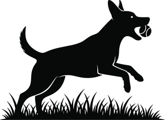 Dog, silhouette, jump, ball, play, pet, animal, grass, outdoor, motion, black, white, fetch, energy, leap, canine, action, fun, nature, background