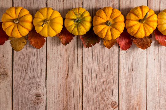 Autumn pumpkins background. Orange and white mini squashes in a row, rustic style. Top view - Powered by Adobe