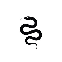 Fototapeta premium Stylized black silhouette of a serpent coiled on a white background