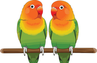 Colorful lovebirds sitting together on branch, tropical parrot couple illustration, exotic wildlife vector art, green orange birds design © Moksedul Creative