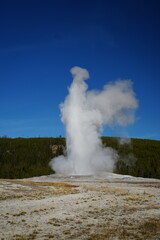 Old Faithful Geyser Eruption in Yellowstone National Park, USA