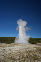 Old Faithful Geyser Eruption in Yellowstone National Park, USA