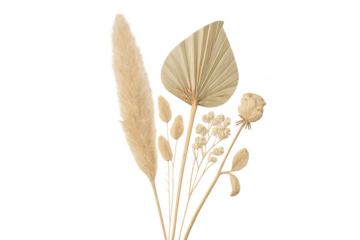 Boho dried floral bouquet with palm leaf and pampas grass