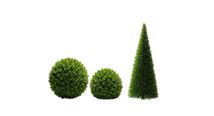 Topiary trees isolated on transparent background, perfectly shaped and manicured