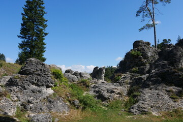 Felsenmeer im Wental in der Schwäbischen Alb bei Bartholomä im Albuch