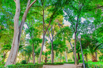El parque Ribalta, preciso parque en el interior de  castellón de la plana