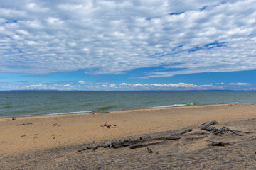 horizontal perspective where lines intersect between sky, water, shore, and driftwood.