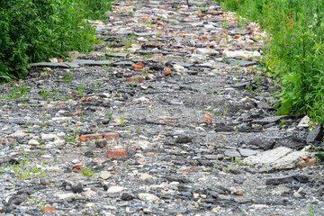 Cracked and overgrown pathway in a natural setting with wild plants and urban debris