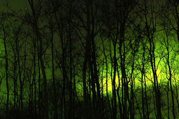 Colorful northern lights covering the whole sky