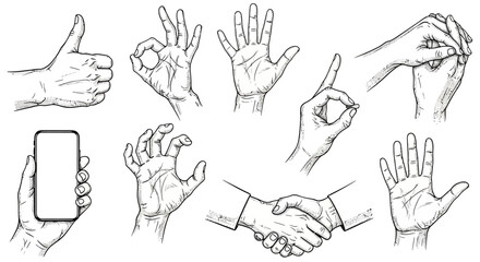 Fototapeta premium Diverse Hand Gestures Illustration Communication, Expression & Interaction