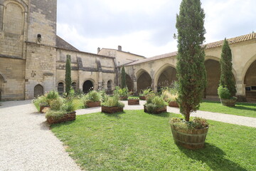 Fototapeta premium Cathédrale Saint Pierre, cathédrale de style gothique, ville de Saintes, département de la Charente Maritime, France