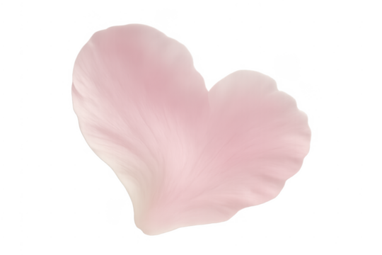 Pink petal forming heart shape transparent background