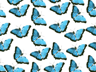 seamless pattern with butterflies
