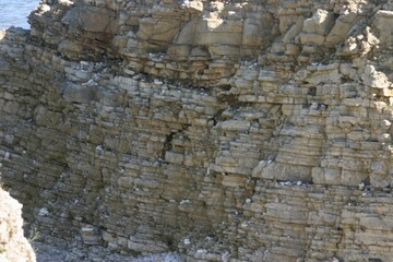 Layered coastal rock formation captured in soft daylight, showing natural erosion, texture, and geological detail near the sea. Ideal nature background for environmental, travel, or geology themes.