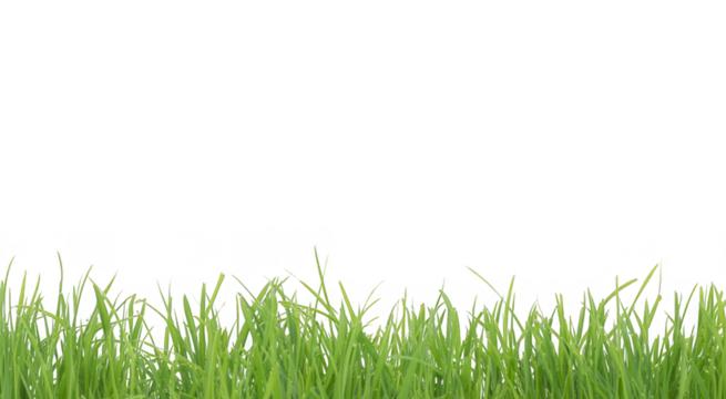 bright green realistic seamless grass border isolated on transparent background - Powered by Adobe