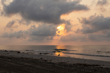 Deserted beach landscape at dawn.