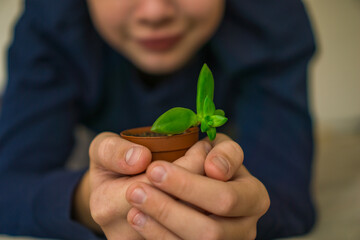A child gently holds a tiny potted sprout, symbolizing care, growth, and nurturing a new beginning for life and nature.
