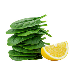 Meticulously stacked emerald green baby spinach leaves and perfectly sliced bright yellow lemon wedge on a pure transparent background, no shadows, clean studio lighting. Concept of pristine quality