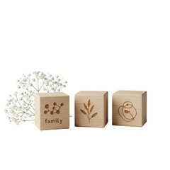 Three elegant minimalist wooden blocks with abstract symbols and delicate white baby's breath, against a seamless transparent studio background. concept of minimalist design and thoughtful new