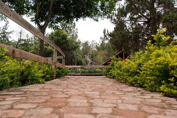 Stone Pathway with Wooden Fence Leading to Garden Statue