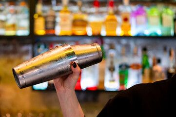 A bartender holds a stainless steel cocktail shaker, preparing to mix a drink in a dimly lit bar....