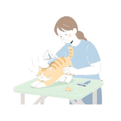 Person brushing orange cat on table orange tabby grooming
