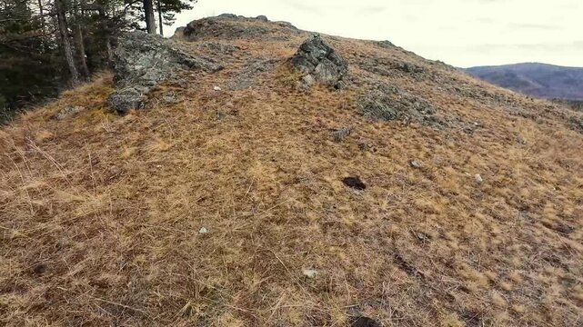 Primitive rugged landscape, Pristine natural environment filled with jagged rocks and lush foliage, Wild and untouched wilderness environment featuring rugged stones amid dense pine trees