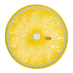 A single, perfectly round, vibrant yellow lemon slice, detailed cross-section showing translucent juicy segments and white pith, against a transparent background with copy space, concept of