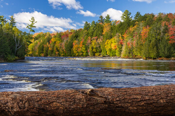 river flowing through colorful forest in autumn