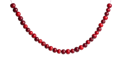 Elegant red gemstone necklace strung on a thin cord isolated on transparent background